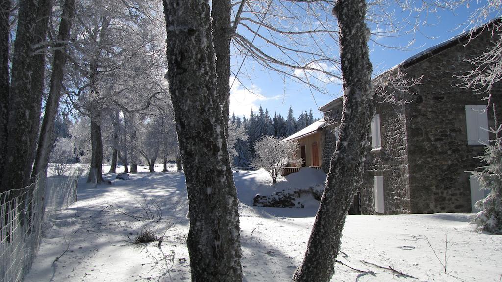 Domaine Du Mas Du Taillet Lanarce